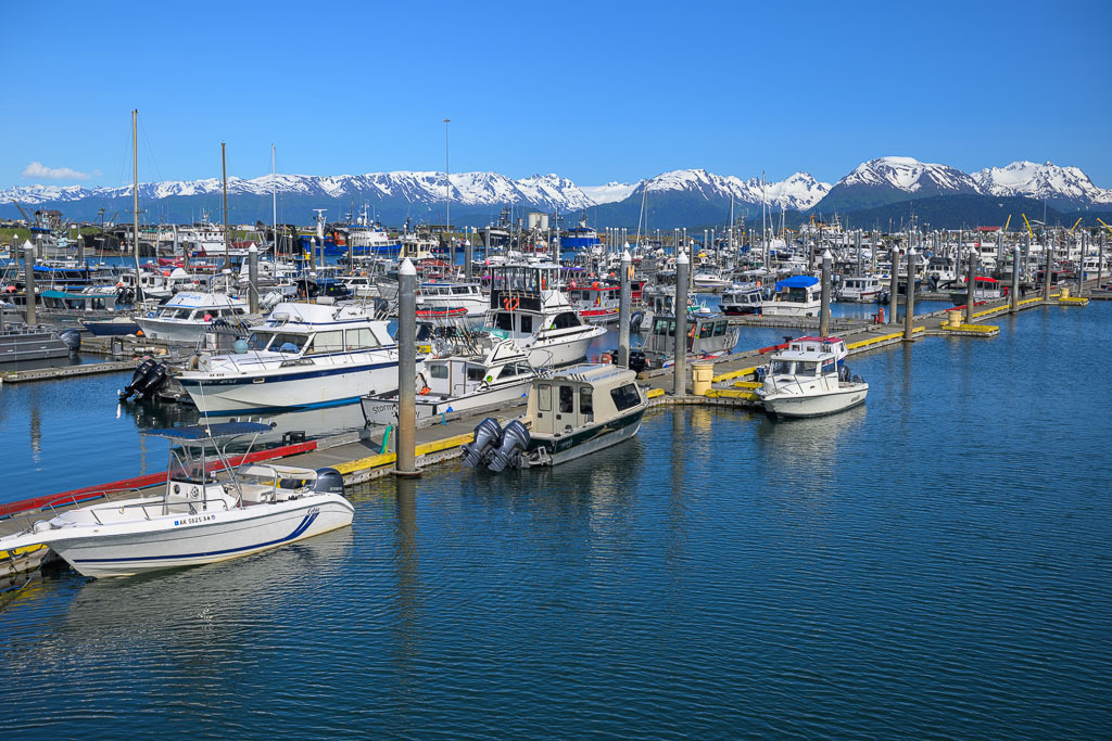 Alaska | Homer. - Realisiert mit Pictrs.com