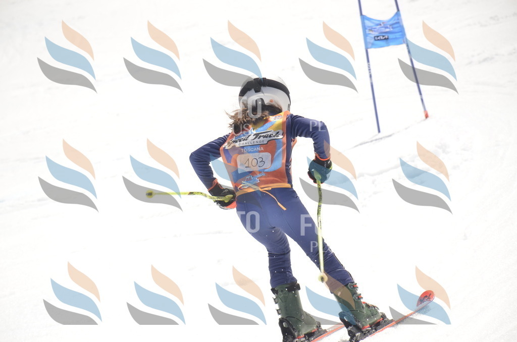 _ELE9397 | holidayphoto