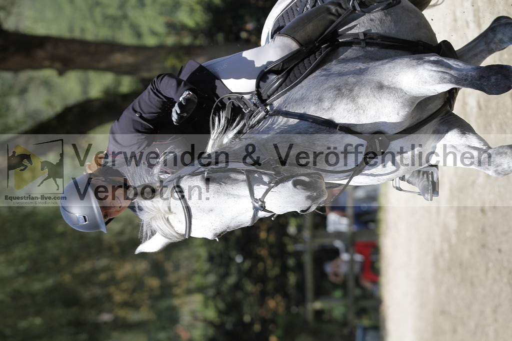 _MG_6329 | equestrian-live-com