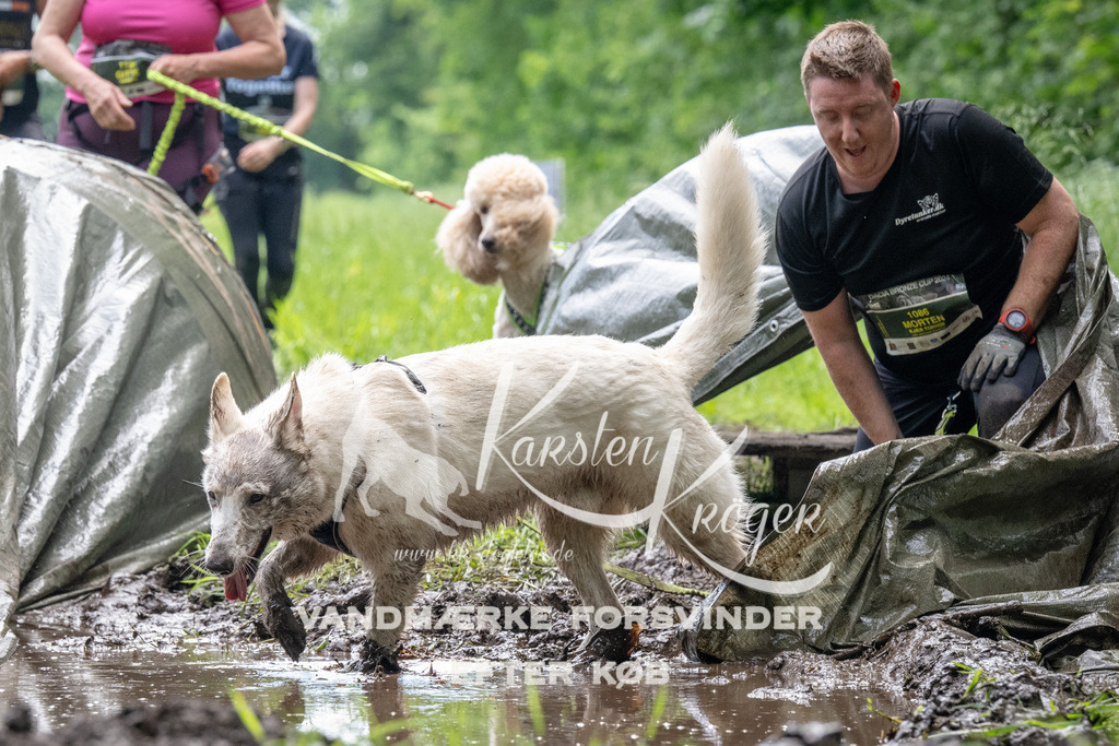 1106_ZZ91407 | kk-dogfotos