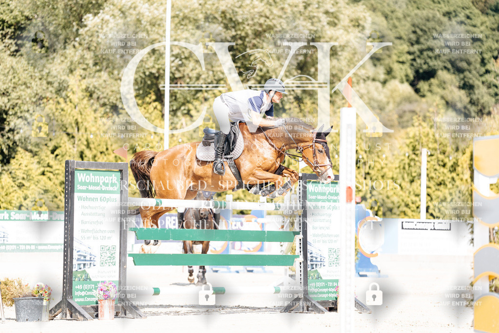CK908983 | Turnierfotografie Pferdefotografie Trier Rheinland-Pfalz Pferdesport Reitsport Tierfotografie Sportfotografie Pferdevideo Pferdevideografie Equestrianvideography equestrianphotography  - Realisiert mit Pictrs.com