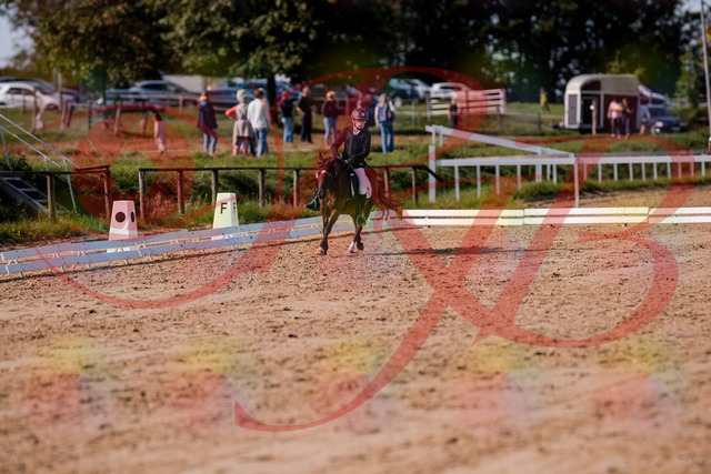 2026_10_03_Siefer-Hof_122249_Z81_22314372 | Professionelle Reitsport-, Turnier- und Eventfotografie von Robert Broda. Galerien mit ausgewählten und bearbeiteten Bildern direkt online ansehen und bestellen.