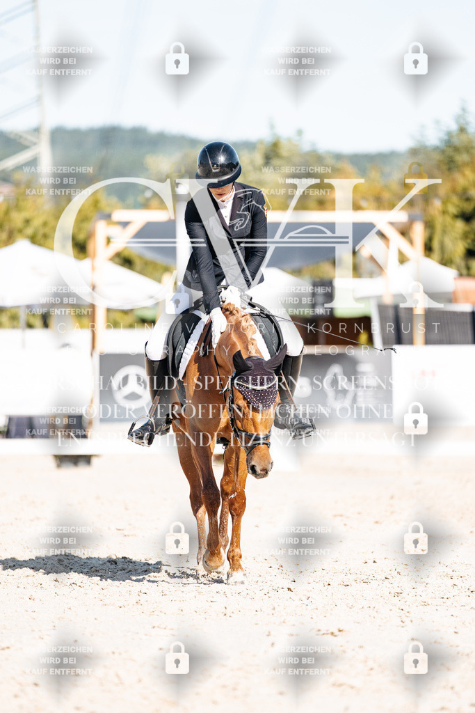 CK907916 | Turnierfotografie Pferdefotografie Trier Rheinland-Pfalz Pferdesport Reitsport Tierfotografie Sportfotografie Pferdevideo Pferdevideografie Equestrianvideography equestrianphotography  - Realisiert mit Pictrs.com