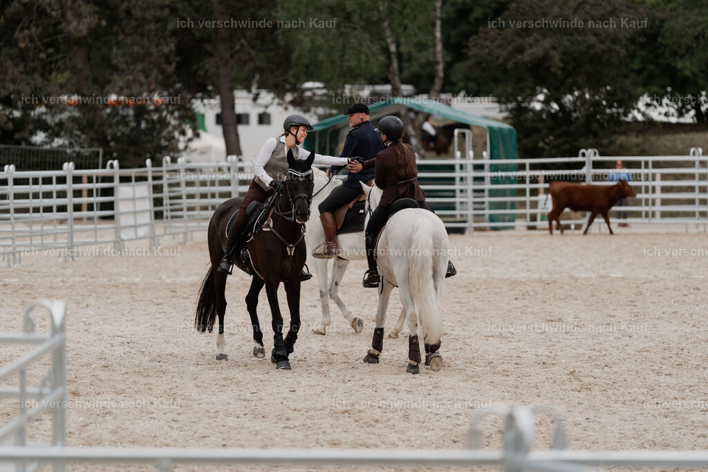 WE__Stoib_Rinder_PI2025_3195 | Pferd International München 2025