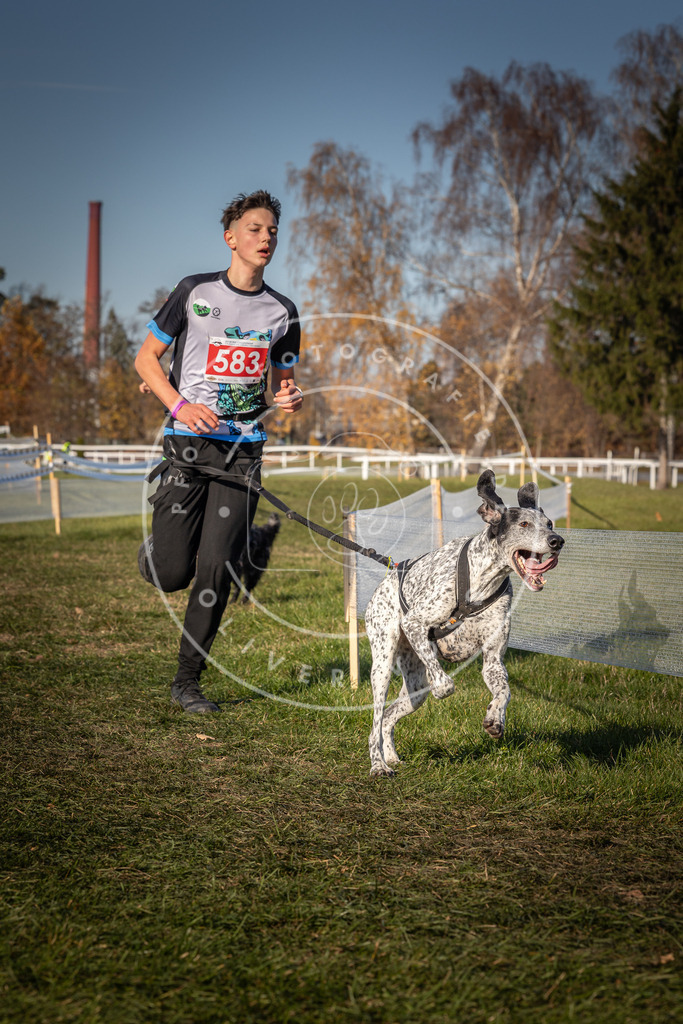 CaniXpix_0L8A8203 | Hundefotografie, Tierfotograf, Pfotenfotografie, Fotoshooting Hund, Hunde Portrait, Hundesport, Hundeportraits, Heideshooting, Hunde, Sportfotograf, Hundefotograf, Turnierhundsport, THS,  - Realisiert mit Pictrs.com