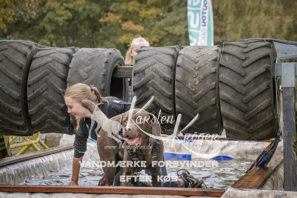 1630_ZZ93782 | kk-dogfotos