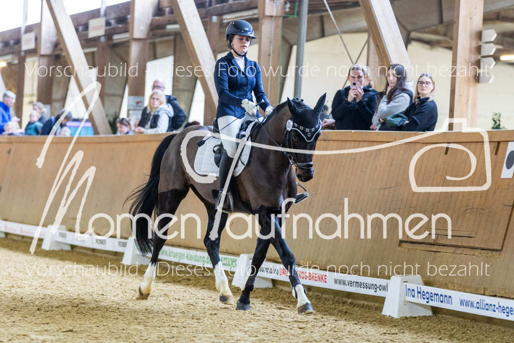 Sth-LPO25-Kombi-023 | MomenTaufnahmen Pferdesportfotos