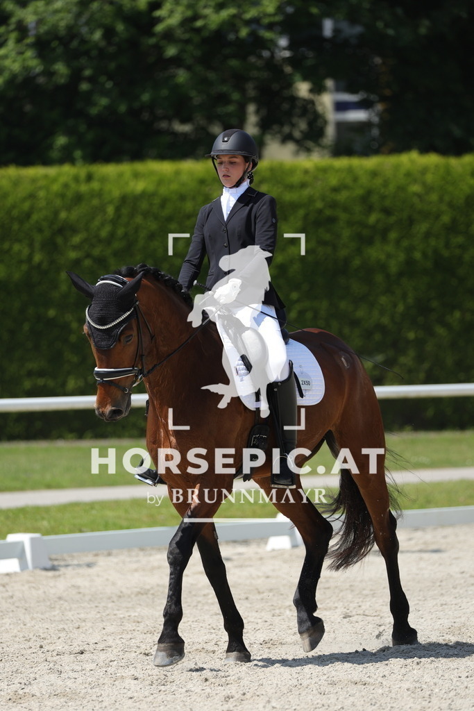 0P6A1190 | Willkommen bei Brunnmayr - Design & Fotografie – Ihrem Spezialisten für Reitturniere und Pferdeveranstaltungen in Oberösterreich, Salzburg und Bayern! Seit über 17 Jahren sind wir leidenschaftlich dabei.