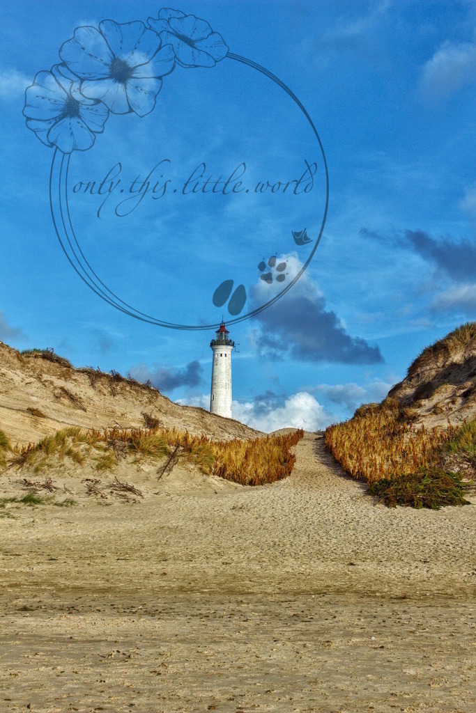 IMG_9889-02 | only.this.little.world - Realisiert mit Pictrs.com