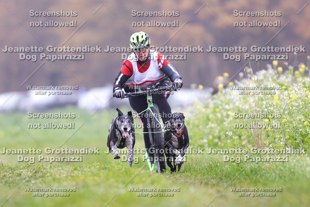 Dog Paparazzi - Visbeck 25 -80 | Dog Paparazzi Jeanette Grottendiek Fotografie & Videografie - Realisiert mit Pictrs.com
