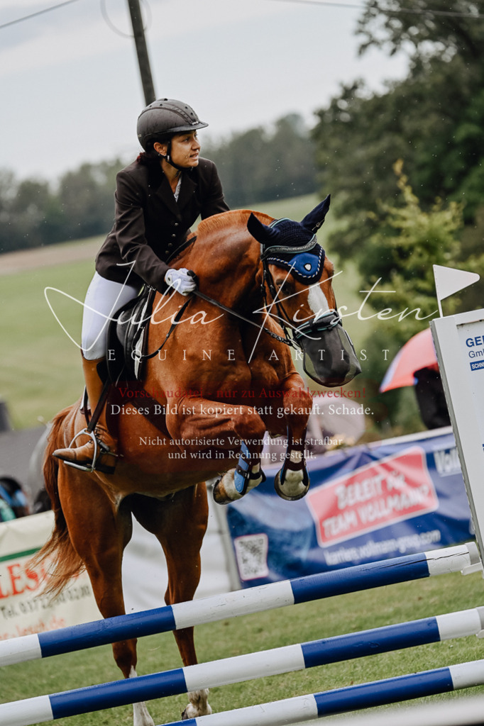 DSC_6973 | Pferde- und Turnierfotografie in Westsachsen. Pferdeportraits, Auftragszeichnungen und intuitive Kunst.