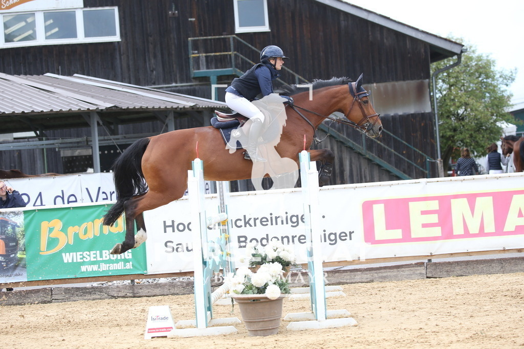 DL2Q2648 | Willkommen bei Brunnmayr - Design & Fotografie – Ihrem Spezialisten für Reitturniere und Pferdeveranstaltungen in Oberösterreich, Salzburg und Bayern! Seit über 17 Jahren sind wir leidenschaftlich dabei.
