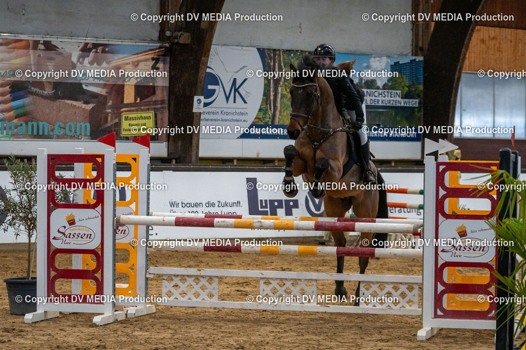 Kranichstein Tag 2-116 | dv-media-shop - Realisiert mit Pictrs.com