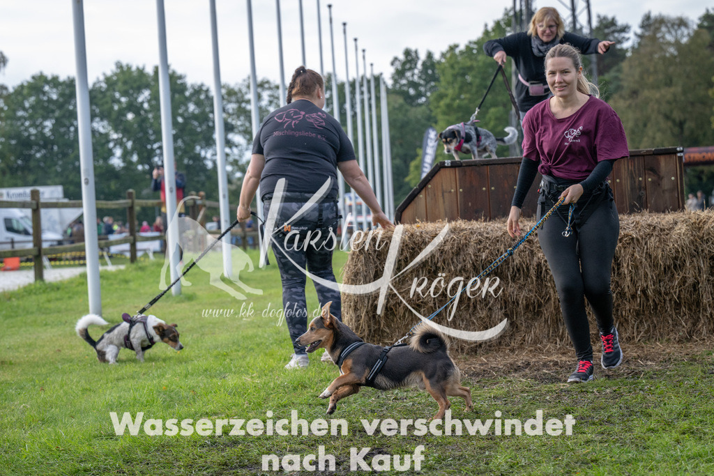 1504-90006 | kk-dogfotos