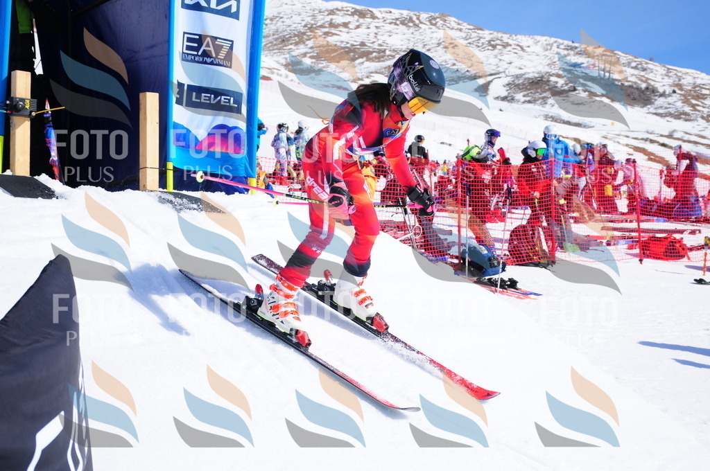 DSC_4099 | holidayphoto