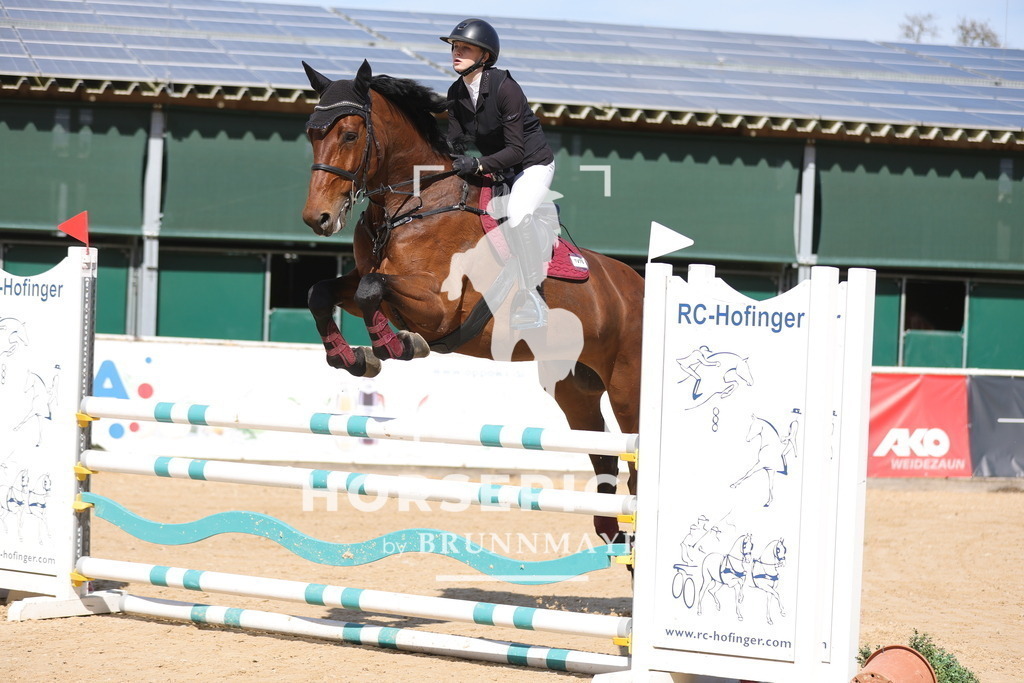0P6A8943 | Willkommen bei Brunnmayr - Design & Fotografie – Ihrem Spezialisten für Reitturniere und Pferdeveranstaltungen in Oberösterreich, Salzburg und Bayern! Seit über 17 Jahren sind wir leidenschaftlich dabei.