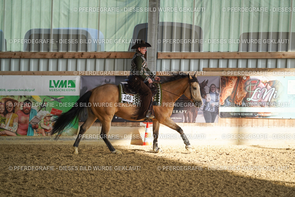 DSC08342 | Pferdegrafie