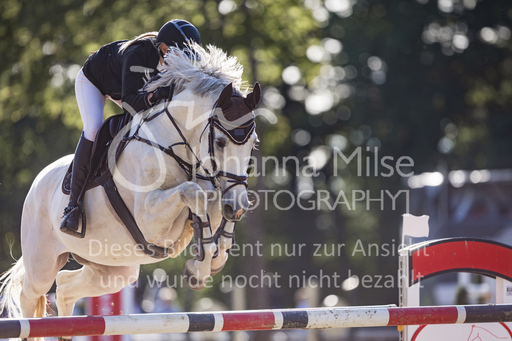 230826_Delbrueck_S1-Spr-936 | Deine schönsten Turniermomente als professionelle Fotos! Entdecke hochwertige Pferdesport-Fotografie im Online-Shop. Jetzt Fotos finden & bestellen!