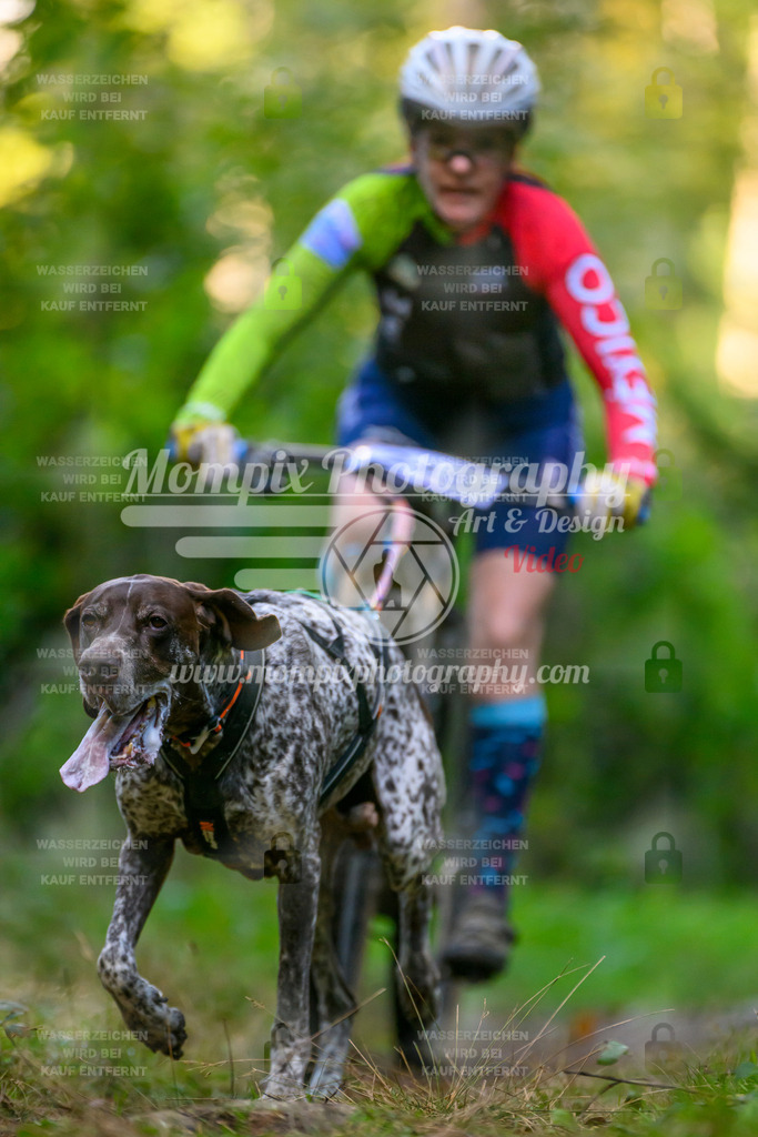 MompixPhotography_Yens2025_B3-27 | PayLife