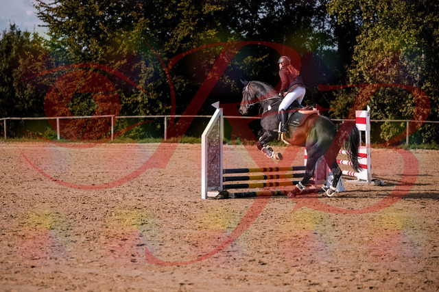 2026_10_03_Siefer-Hof_154245_Z81_60400106 | Professionelle Reitsport-, Turnier- und Eventfotografie von Robert Broda. Galerien mit ausgewählten und bearbeiteten Bildern direkt online ansehen und bestellen.