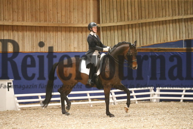 Turnier_Zeutern_2022_Prfg.Nr.02_Kurz-GrandPrix_Nicole Isser_DiCaprio 4 (11) | Alle Fotos der Reiterjournal Fotografin Doris Matthaes im Reiterjournal Online-Fotoshop. - Realisiert mit Pictrs.com