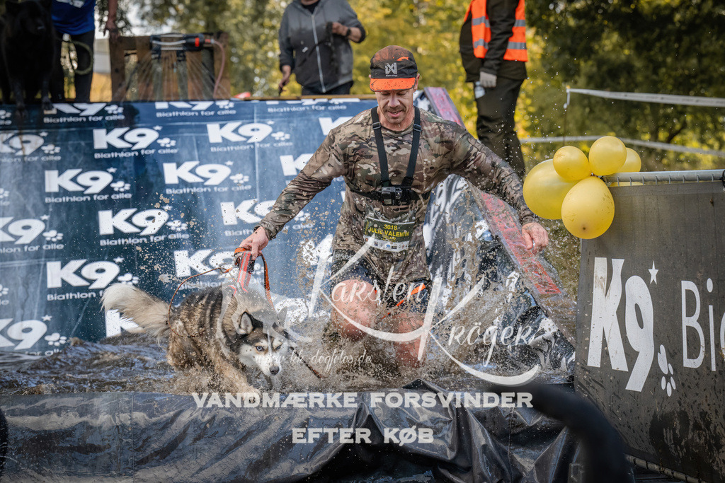 1552_ZZ90941 | kk-dogfotos