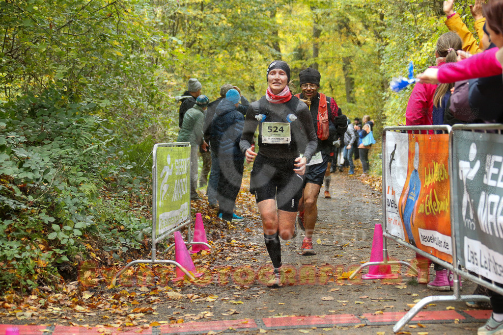 251026_1311_EX1_2806 | Sportfotografie im Rhein-Sieg Kreis, Köln, Bonn, NRW, Rheinland Pfalz, Hessen, etc. Unser Tätigkeitsfeld umfasst den Laufsport vom Volkslauf über den Marathon, Duathlon, Triathon bis zum Ultralauf wie Kölnpfad Ultra oder Schindertrail.