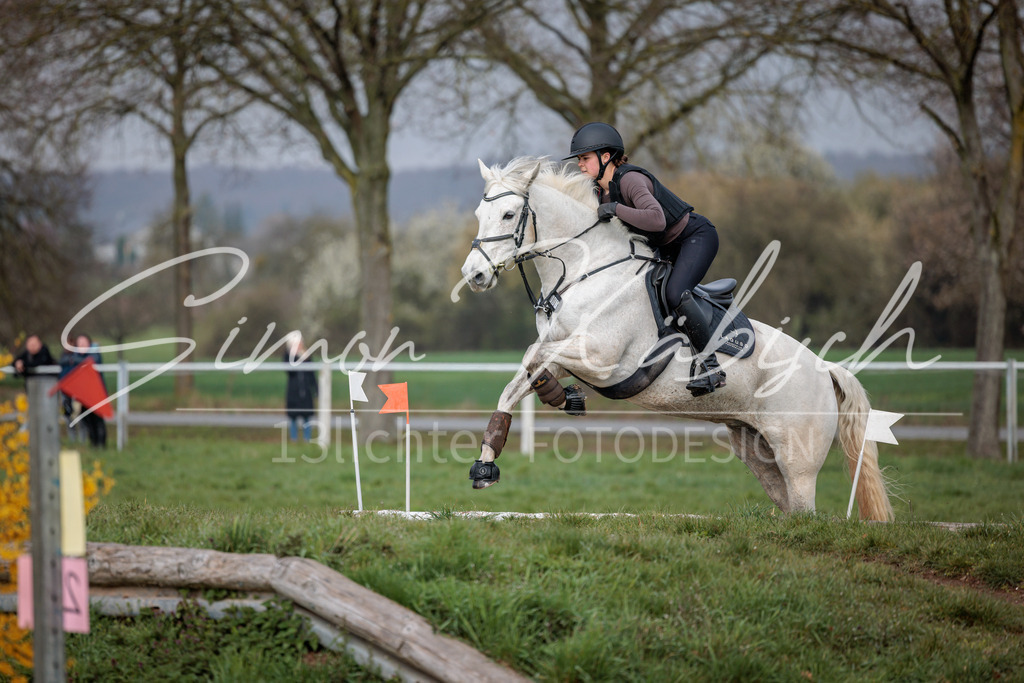 20260329-_3LI3739 | Tierfotografie Pferde, Hunde, Katzen, Haustiere.
Turnierfotografie Reitturniere, Reiten, Springreiten, Dressur in Hanau, dem Main-Kinzig-Kreis und dem Rhein-Main- Gebiet um Frankfurt