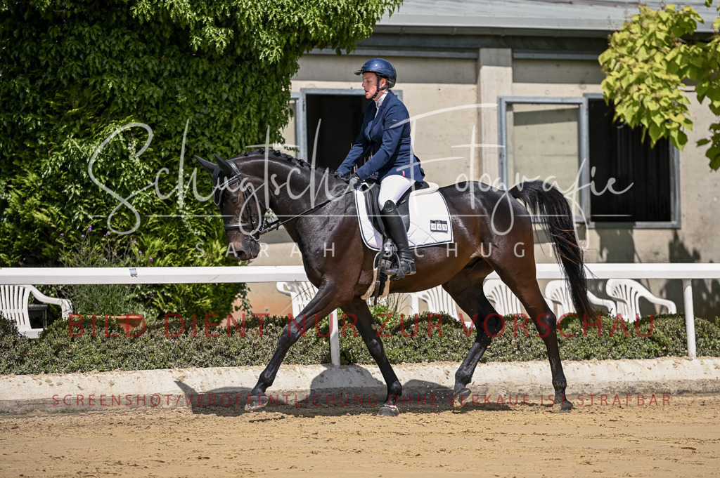 Schugtsche-Aluta25-48.Reitpferfdeprf.-215 | Schugtsche Fotografie - Realisiert mit Pictrs.com