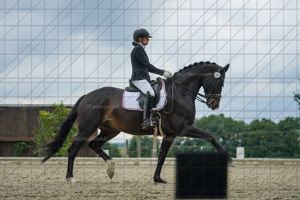 20230826-FAH06322 | Forstinning, 2023, Dressurturnier, Turniersportbilder, Turnierfotografen Bayern, Fotoagentur Herrmann, Reitsportfotografie, Turnierbilder