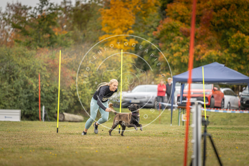 Pfotenfotografie_DV3A3953 | Hundefotografie, Tierfotograf, Pfotenfotografie, Fotoshooting Hund, Hunde Portrait, Hundesport, Hundeportraits, Heideshooting, Hunde, Sportfotograf, Hundefotograf, Turnierhundsport, THS,  - Realisiert mit Pictrs.com