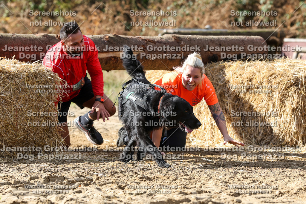 Dog Paparazzi - Strongdog 10-25-4955 | Dog Paparazzi Jeanette Grottendiek Fotografie & Videografie - Realisiert mit Pictrs.com