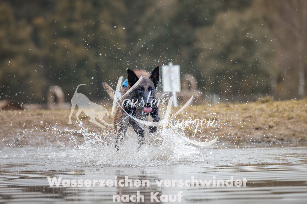 1358_ZZ94992 | kk-dogfotos