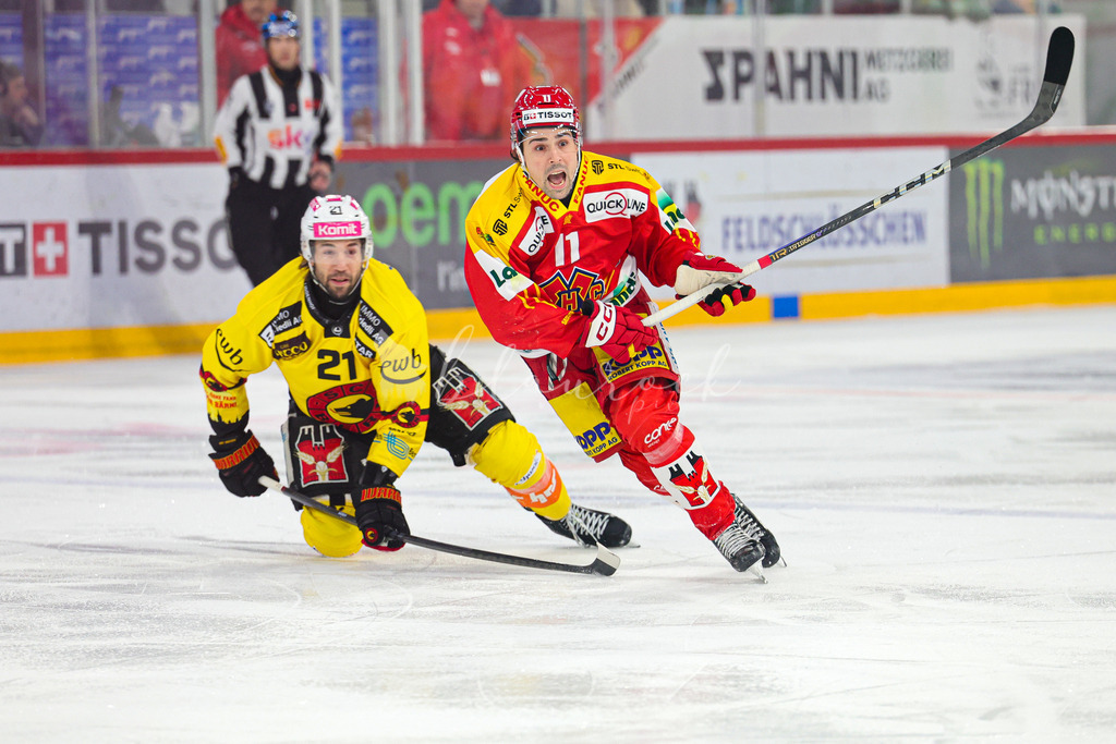 EHC Biel-Bienne - SC Bern - 29. November 2024 | EHC Biel-Bienne - SC BernTissot Arena, Biel-BienneBild: Waltraud Blaurock | Blaurock Pix