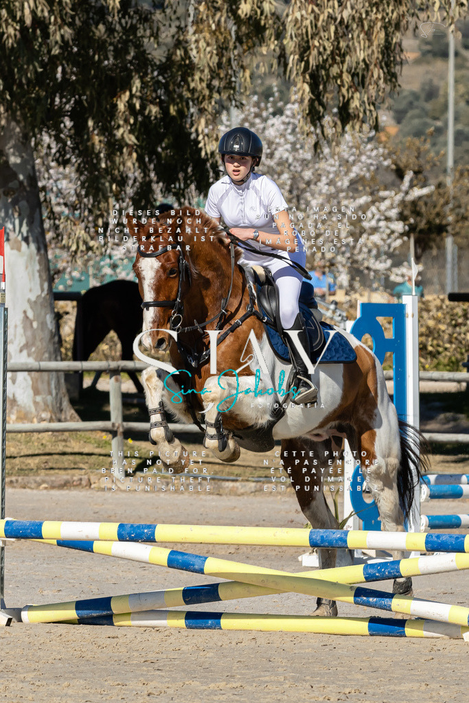 IMG_8376 | s-jay-photography - Realisiert mit Pictrs.com