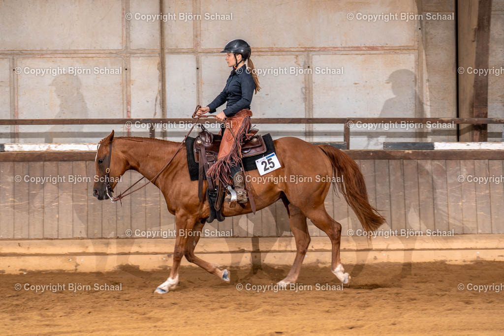 LMS03209 | BS-foto