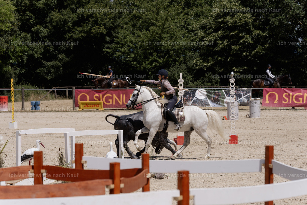 WM_SP_28_SinaFilmArt_IN07385 | working equitationturnier fotograf videograf stoibphotography marixx film working equitation deutschland reitsport turnierfotografie eventfotografie equestrian events