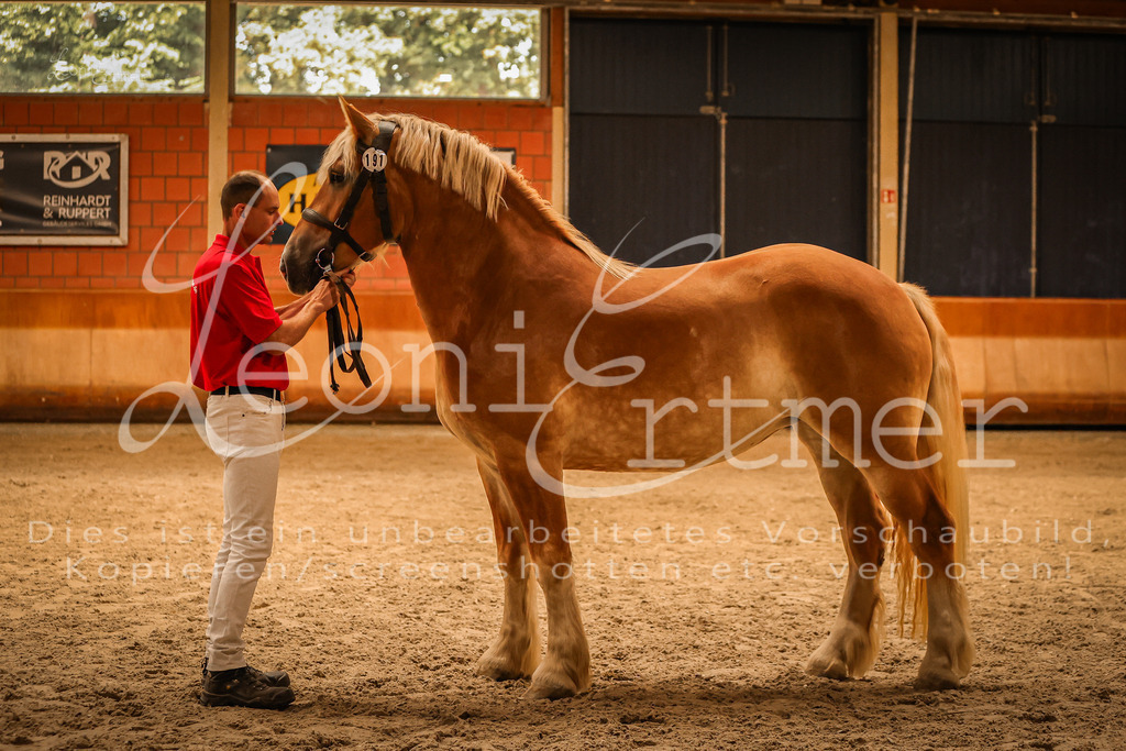 SaFL00245 | Leoni Ertmer Photography - Realisiert mit Pictrs.com