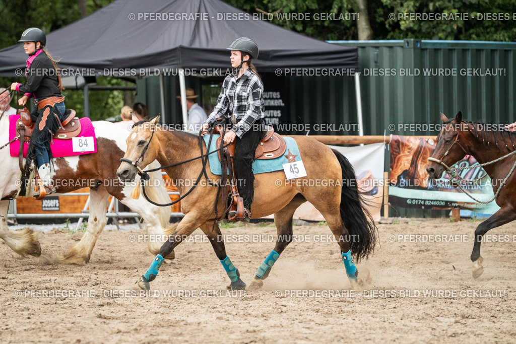 DSC03853 | Pferdegrafie