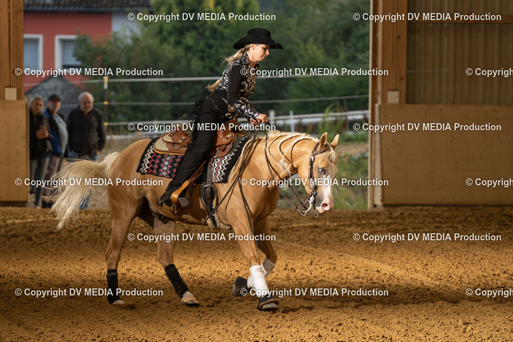 LAU01059 | dv-media-shop - Realisiert mit Pictrs.com