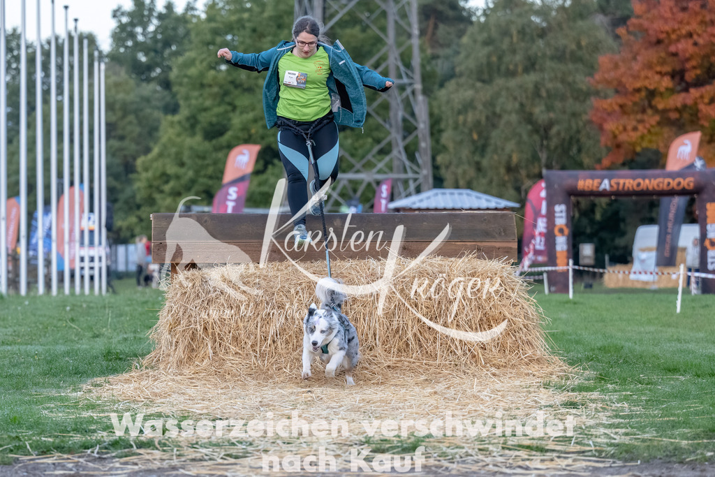 0803_ZZ94104-Bearbeitet | kk-dogfotos