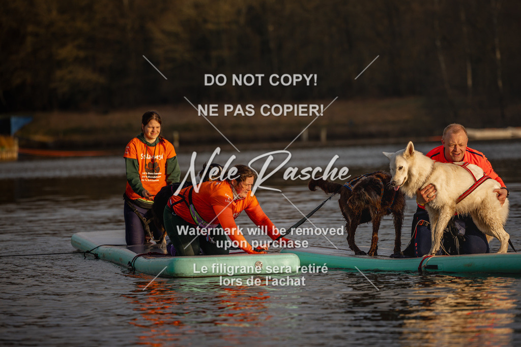 nelerasche_Hulsbeek_Sa1700-1730_426 | nelerasche