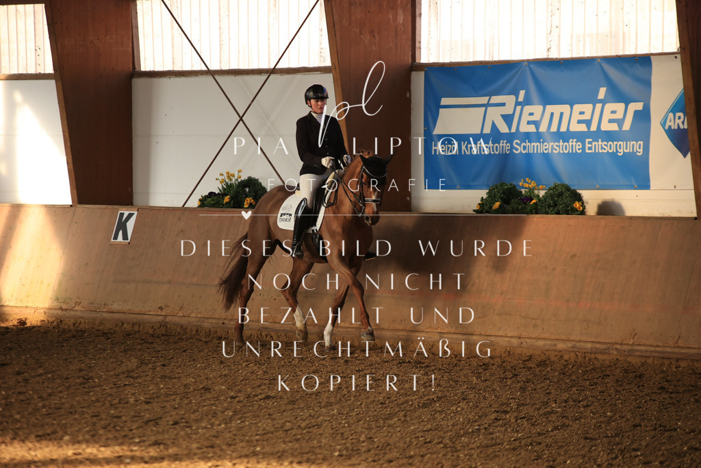 IMGT0330 | pl-fotografie