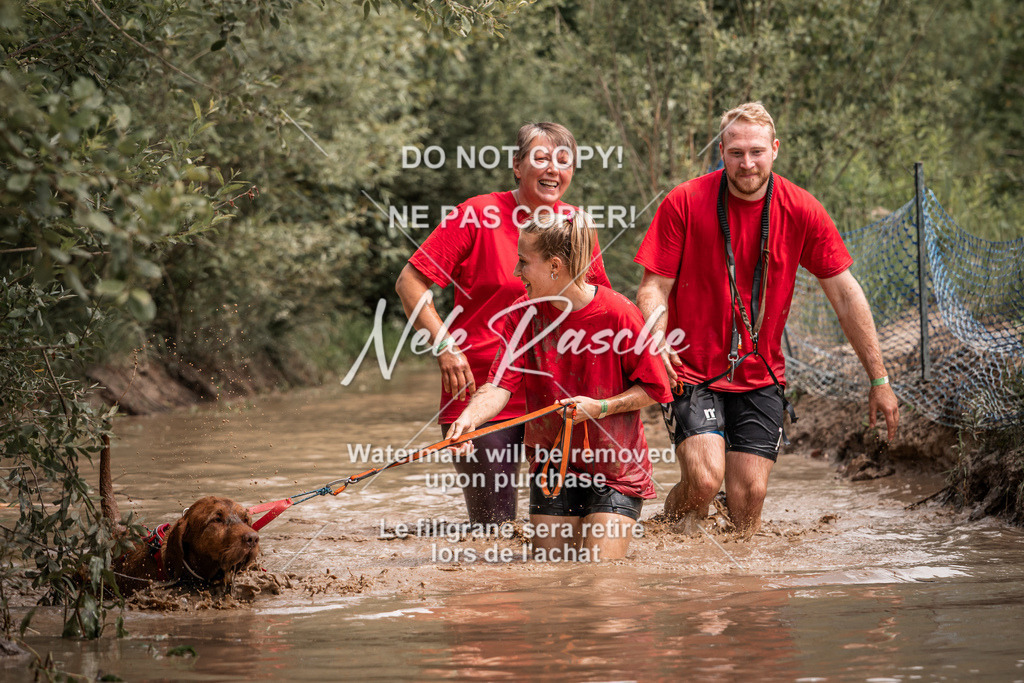 nelerasche_Hoope2026_So1400-1430_90 | nelerasche