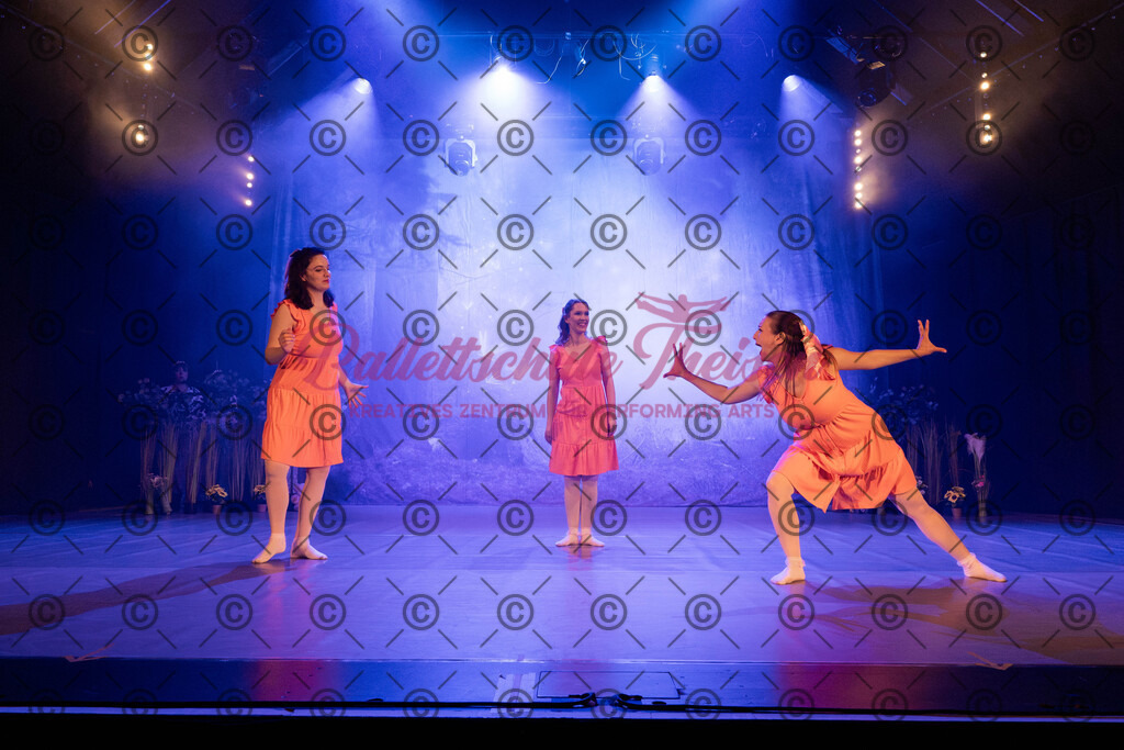 Ballettaufführung-1067 | Bildershop Lem'n Entertainment - Realisiert mit Pictrs.com