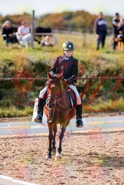 2026_10_03_Siefer-Hof_122316_Z81_23414482 | Professionelle Reitsport-, Turnier- und Eventfotografie von Robert Broda. Galerien mit ausgewählten und bearbeiteten Bildern direkt online ansehen und bestellen.