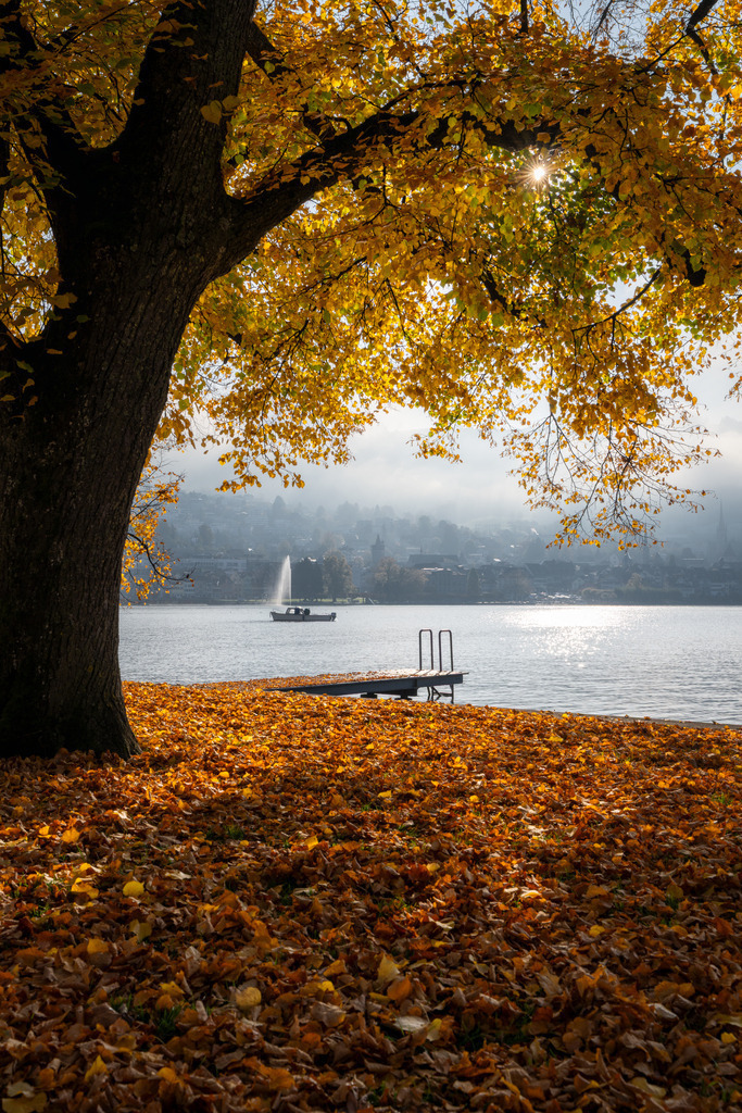 Fischer am Zugersee | Herbst - Realisiert mit Pictrs.com