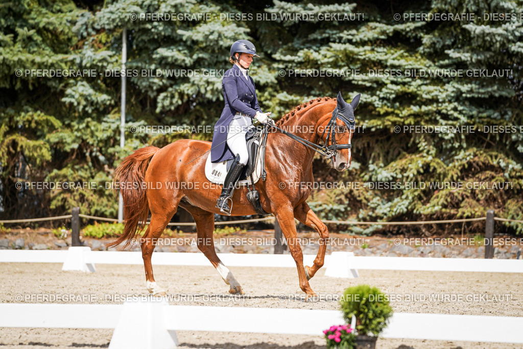 DSC06282 | Pferdegrafie