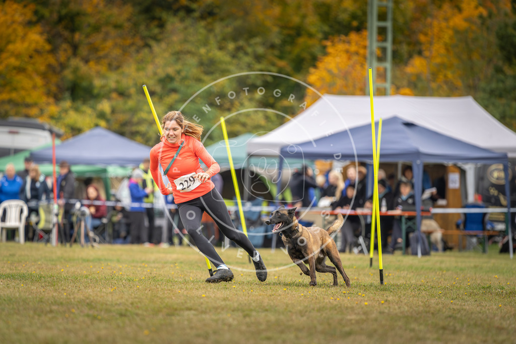 Pfotenfotografie_DV3A4100 | Hundefotografie, Tierfotograf, Pfotenfotografie, Fotoshooting Hund, Hunde Portrait, Hundesport, Hundeportraits, Heideshooting, Hunde, Sportfotograf, Hundefotograf, Turnierhundsport, THS,  - Realisiert mit Pictrs.com