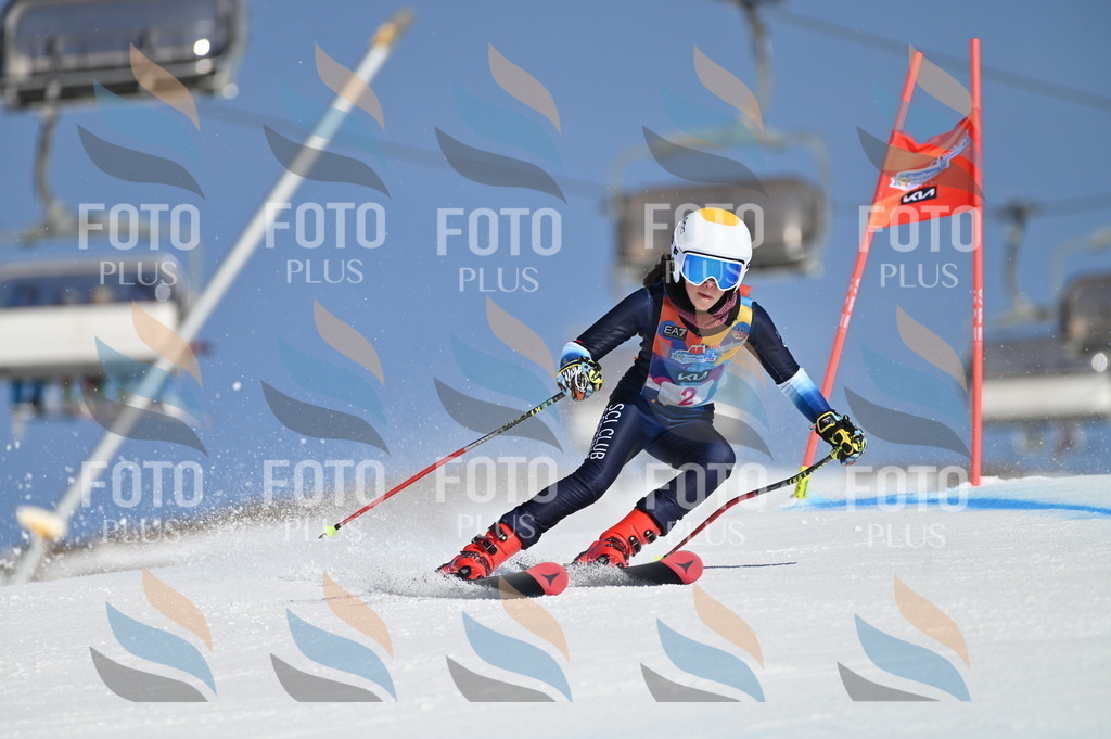 BGV_7596 | holidayphoto